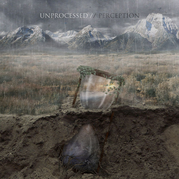 Unprocessed|Perception Unprocessed|Perception