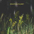 Lowtone Music Beautiful Planet