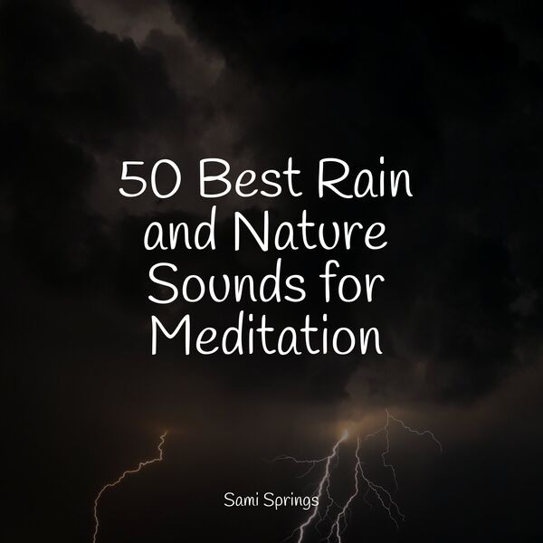 50 Best Rain and Nature Sounds for Meditation, Yoga Music - Qobuz