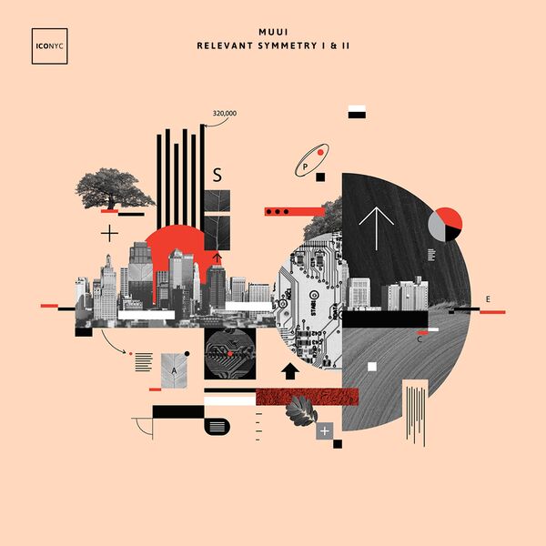 MUUI - Relevant Symmetry MUUI - Relevant Symmetry