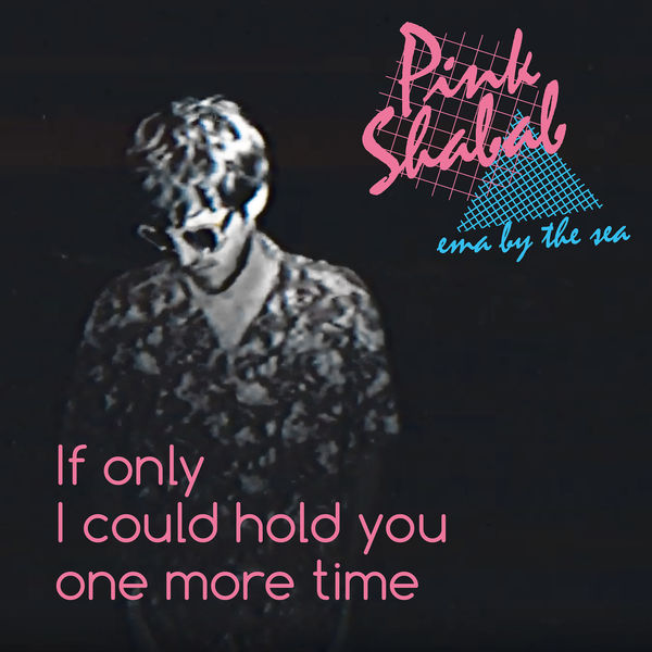 Pink Shabab|If Only I Could Hold You One More Time