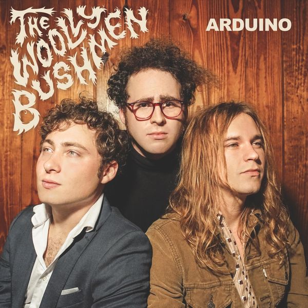 The Woolly Bushmen - Arduino The Woolly Bushmen - Arduino