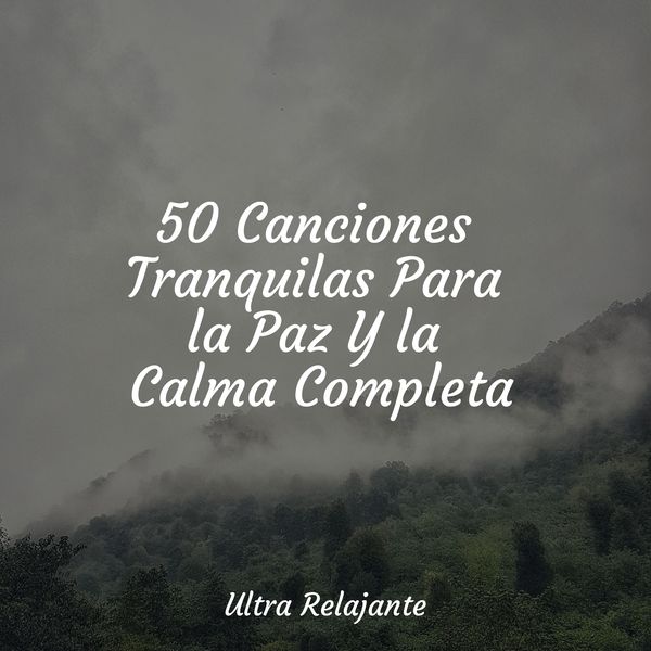 50 Canciones Tranquilas Para la Paz Y la Calma Completa, Musica Para ...