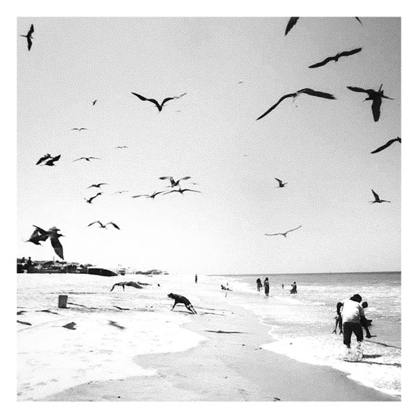 Coliguacho - Migrations Coliguacho - Migrations