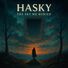 HASKY The Sky We Buried