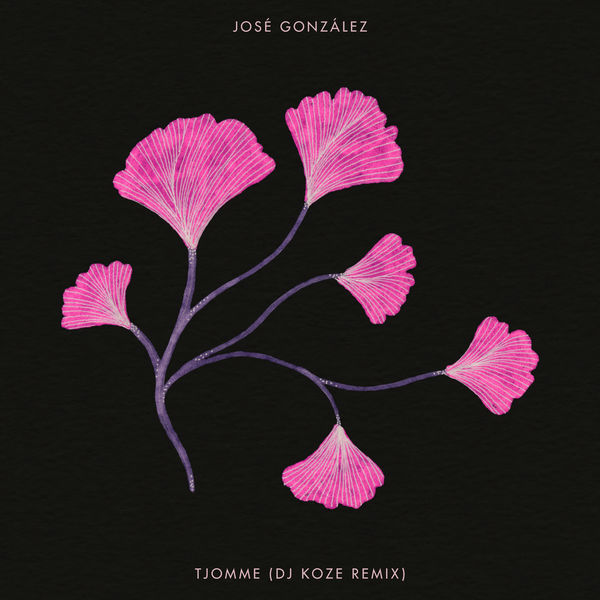 José González|Tjomme (DJ Koze Remix) José González|Tjomme (DJ Koze Remix)