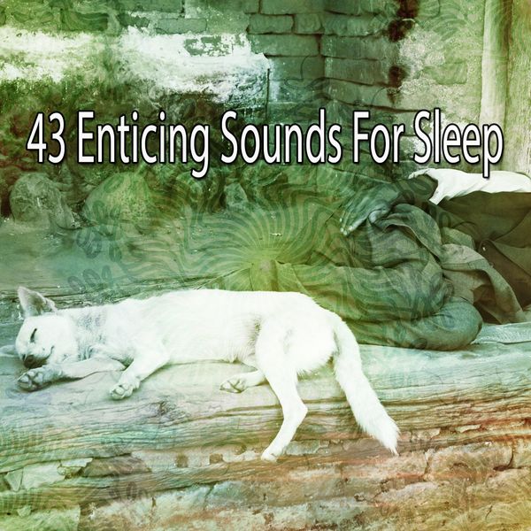 White Noise for Baby Sleep - 43 Enticing Sounds for Sleep White Noise for Baby Sleep - 43 Enticing Sounds for Sleep