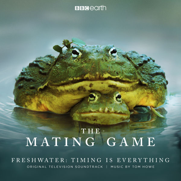 Tom Howe|The Mating Game - Freshwater: Timing is Everything (Original Television Soundtrack) Tom Howe|The Mating Game - Freshwater: Timing is Everything (Original Television Soundtrack)