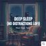 TEAG Deep Sleep (No Distractions Lofi)