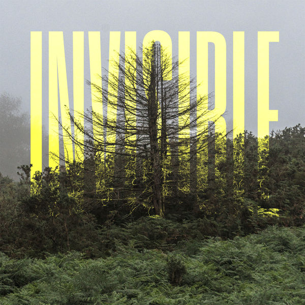 Ólafur Arnalds|The Invisible EP Ólafur Arnalds|The Invisible EP