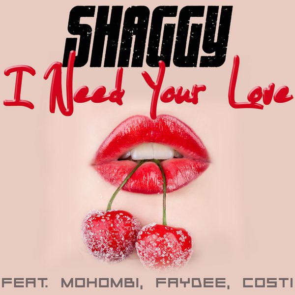 Shaggy|I Need Your Love