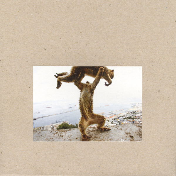 Shellac|Dude Incredible Shellac|Dude Incredible