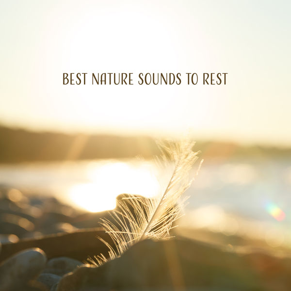 Nature Sounds Artists|Best Nature Sounds to Rest – Pure Relaxation, Sounds of Forest, Deep Meditation, Peaceful Waves