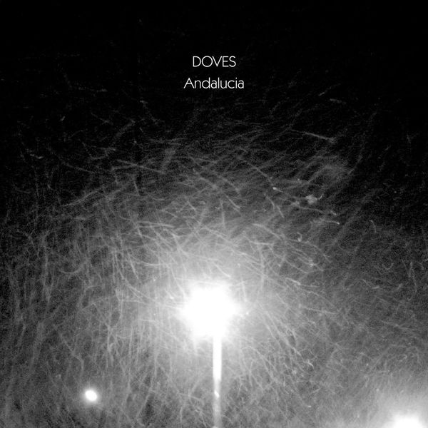 Doves - Andalucía Doves - Andalucía