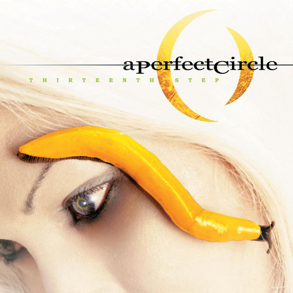 A Perfect Circle|Thirteenth Step A Perfect Circle|Thirteenth Step