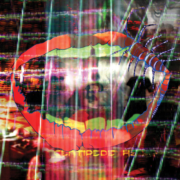 Animal Collective|Centipede Hz Animal Collective|Centipede Hz