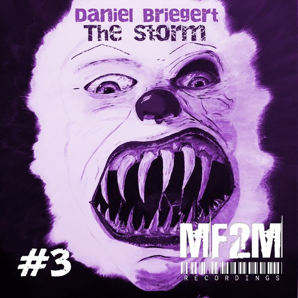 Daniel Briegert - The Storm Daniel Briegert - The Storm