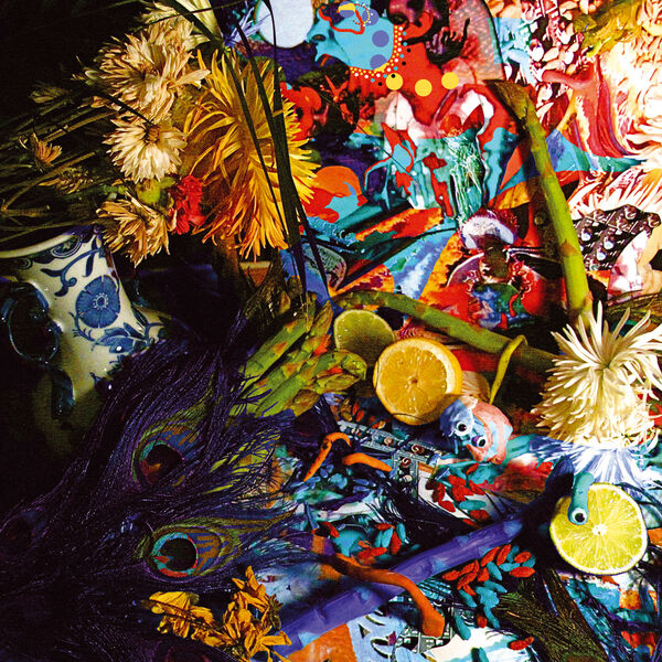 Animal Collective|Summertime Clothes Animal Collective|Summertime Clothes