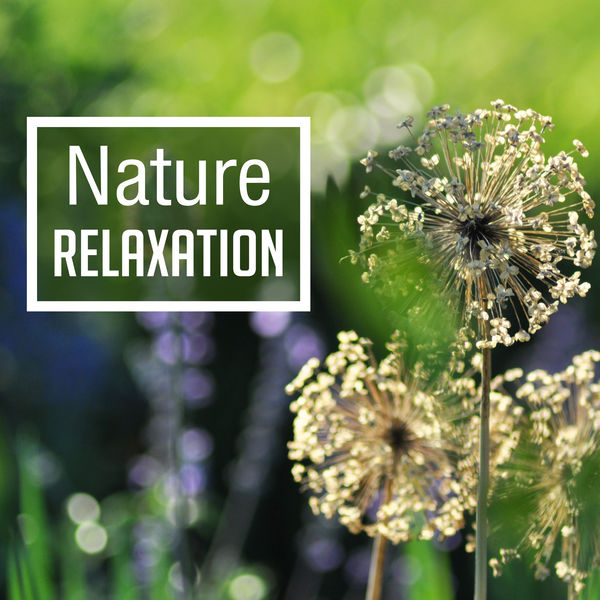 Relaxation and Meditation|Nature Relaxation – Oriental Music for Massage, Spa, Wellness, Tibetan Calmness, Healing Nature, Rest