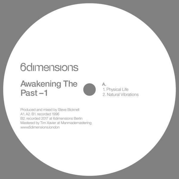 Steve Bicknell - Awakening the Past Steve Bicknell - Awakening the Past