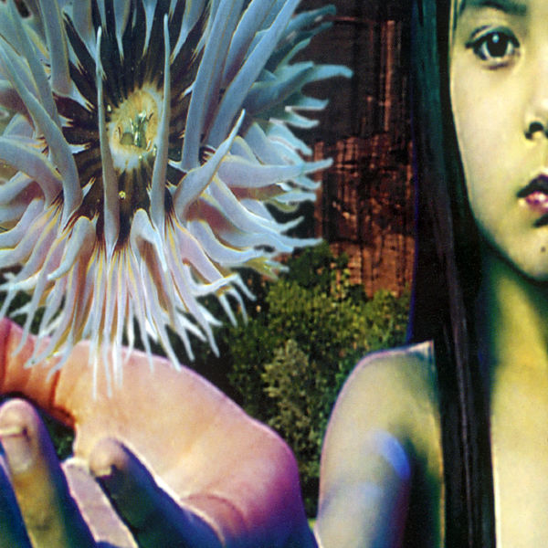 The Future Sound Of London|Lifeforms