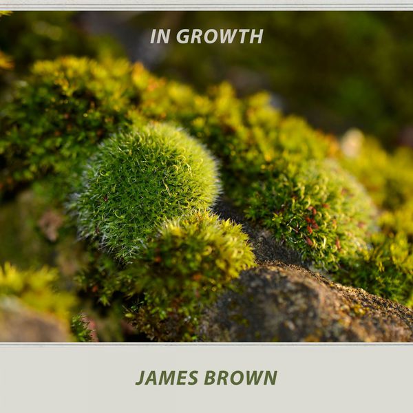 James Brown - In Growth James Brown - In Growth