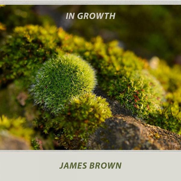 James Brown|In Growth