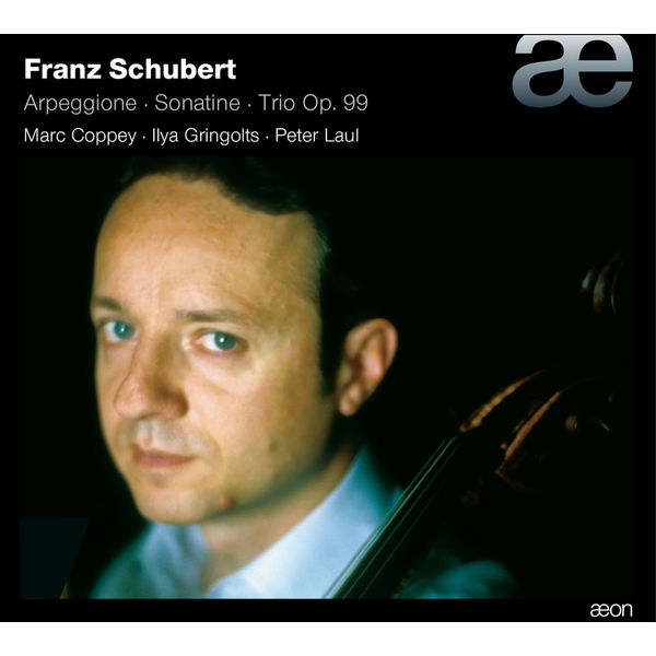 Ilya Gringolts - Schubert: Arpeggione / Sonatina / Trio No. 1 Ilya Gringolts - Schubert: Arpeggione / Sonatina / Trio No. 1