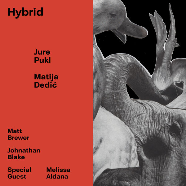 Jure Pukl - Hybrid (feat. Matt Brewer & Johnathan Blake) Jure Pukl - Hybrid (feat. Matt Brewer & Johnathan Blake)