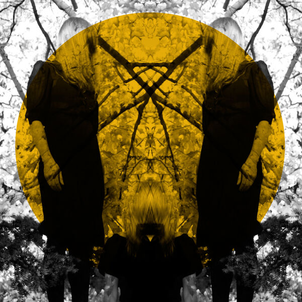 Austra|Feel It Break Austra|Feel It Break