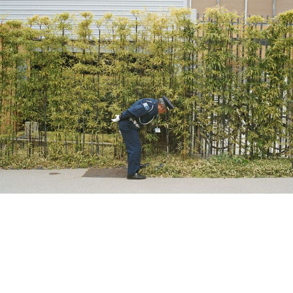 Gold Panda - Good Luck and Do Your Best Gold Panda - Good Luck and Do Your Best