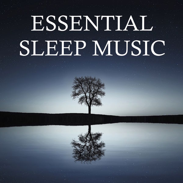 Nature Sounds for Sleep and Relaxation, Deep Sleep Relaxation, Sleep Sound Library - Essential Sleep Music - Soothing Melodies for Deep Sleep, Meditation, Total Relaxation and Healthy Living Through Better Sleep and Less Stress & Anxiety Nature Sounds for Sleep and Relaxation, Deep Sleep Relaxation, Sleep Sound Library - Essential Sleep Music - Soothing Melodies for Deep Sleep, Meditation, Total Relaxation and Healthy Living Through Better Sleep and Less Stress & Anxiety
