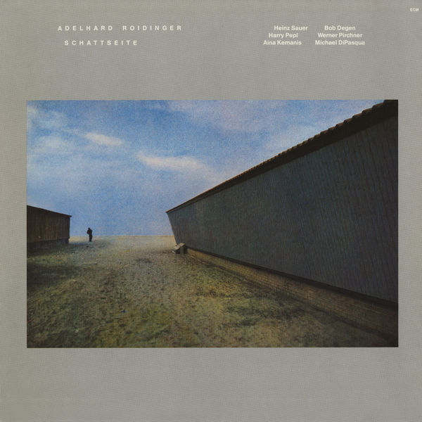 Adelhard Roidinger - Schattseite Adelhard Roidinger - Schattseite
