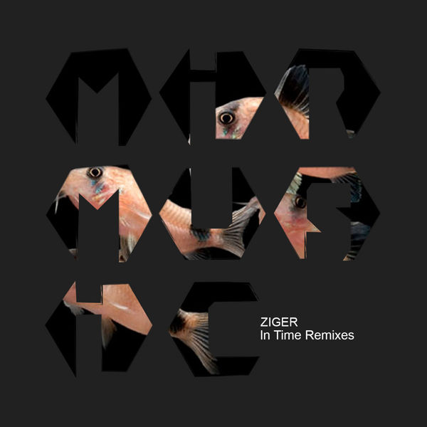 Ziger - In Time Remixes Ziger - In Time Remixes