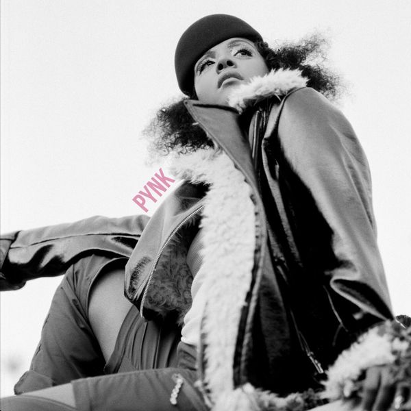 Dawn Richard|Pynk Dawn Richard|Pynk