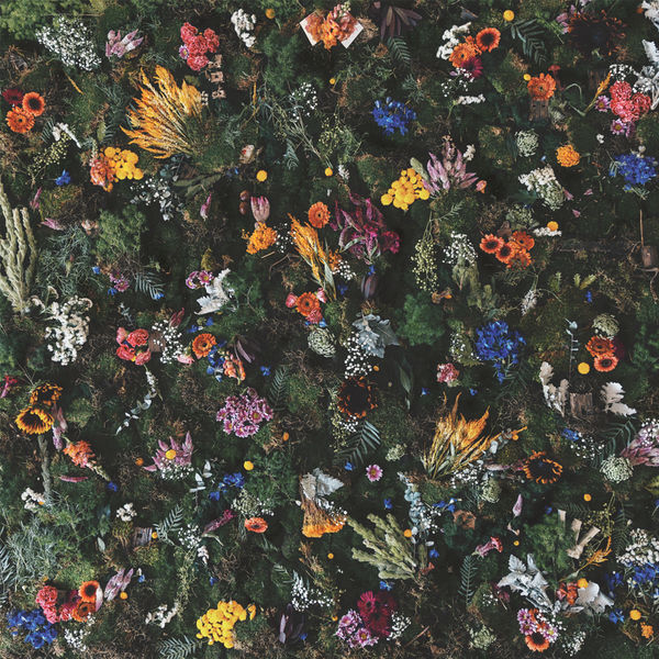 Winterbourne - Echo Of Youth Winterbourne - Echo Of Youth