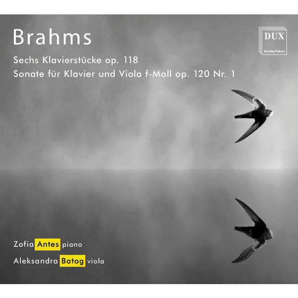 Zofia Antes - Brahms: Chamber Works Zofia Antes - Brahms: Chamber Works