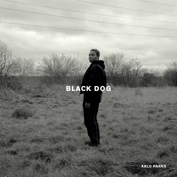 Arlo Parks|Black Dog Arlo Parks|Black Dog