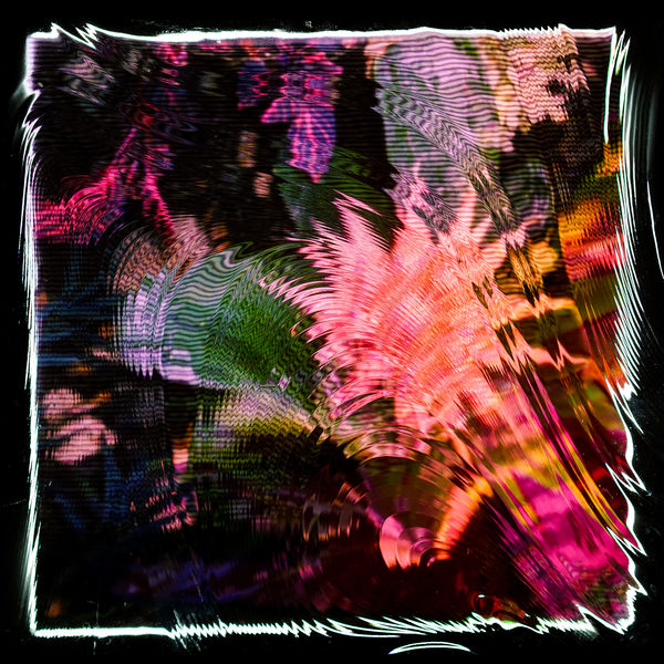 Camila Fuchs - Kids Talk Sun Camila Fuchs - Kids Talk Sun