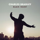 Black Velvet | Charles Bradley