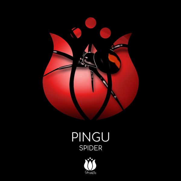 Pingu - Spider Pingu - Spider