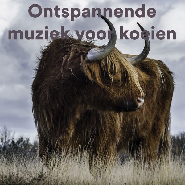 Various Artists|Ontspannende Muziek Voor Koeien