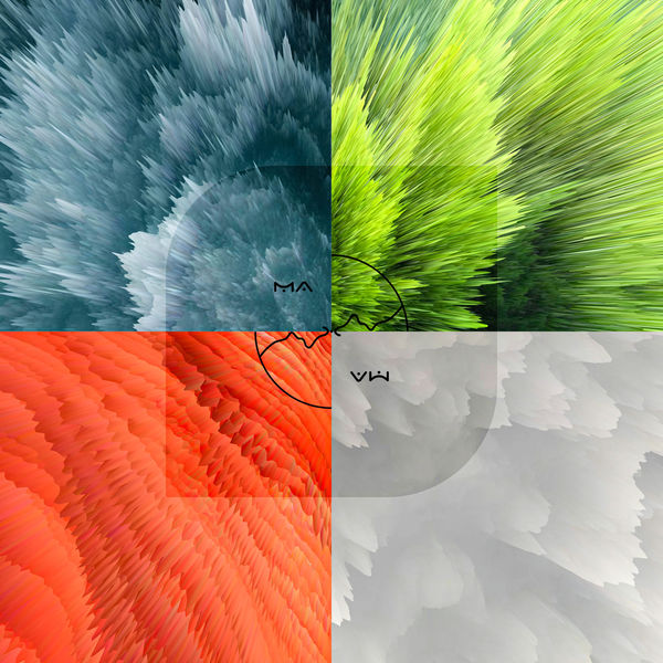 Maxam|Elements Maxam|Elements