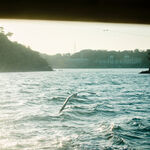 Meitei そこにきみはいて