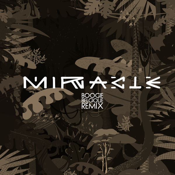 Caravan Palace - Miracle (Boogie Belgique Remix) Caravan Palace - Miracle (Boogie Belgique Remix)