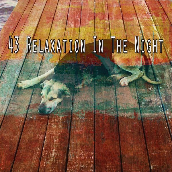 Best Relaxing Spa Music - 43 Relaxation in the Night Best Relaxing Spa Music - 43 Relaxation in the Night