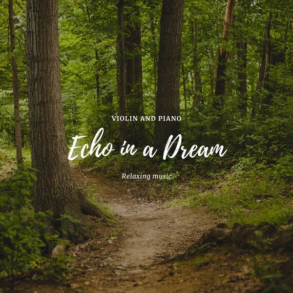 Divina Flow|Echo in a Dream Divina Flow|Echo in a Dream