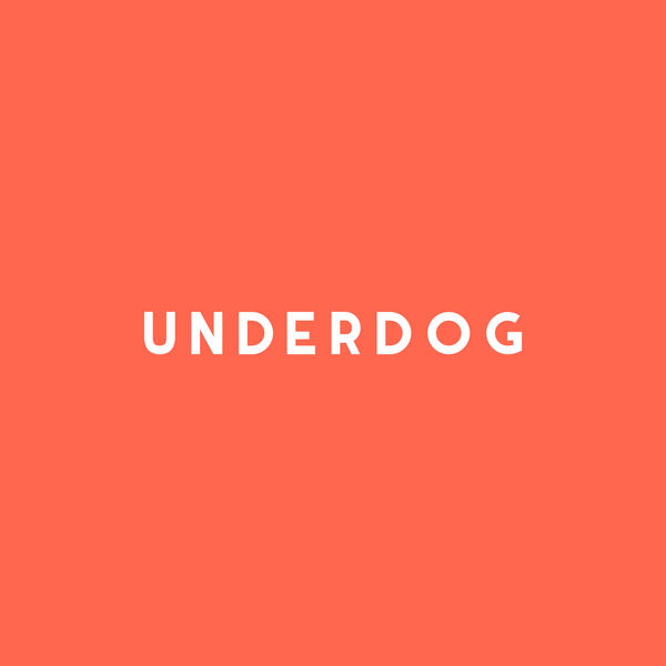 Abhi The Nomad|Underdog