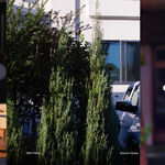 Shinichi Atobe Silent Way