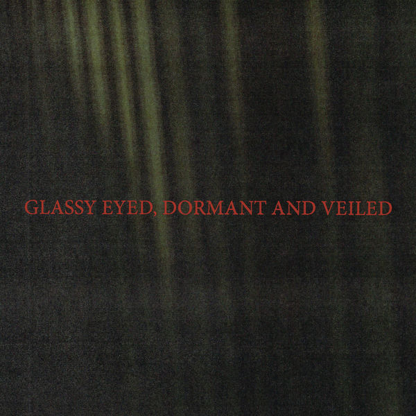 Iceage|Glassy Eyed, Dormant and Veiled Iceage|Glassy Eyed, Dormant and Veiled
